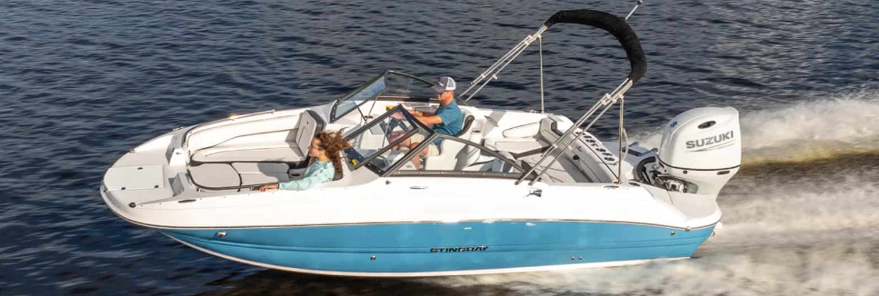 Read more about the article Stingray 201DC Review – The Ultimate Dual Console for Family Fun & Performance