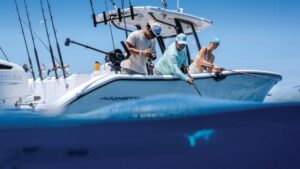 Read more about the article Aquasport 28AS Review: A Modern Take on a Timeless Classic